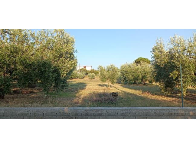 Anteprima foto 5 - Altro in Vendita a Velletri (Roma)