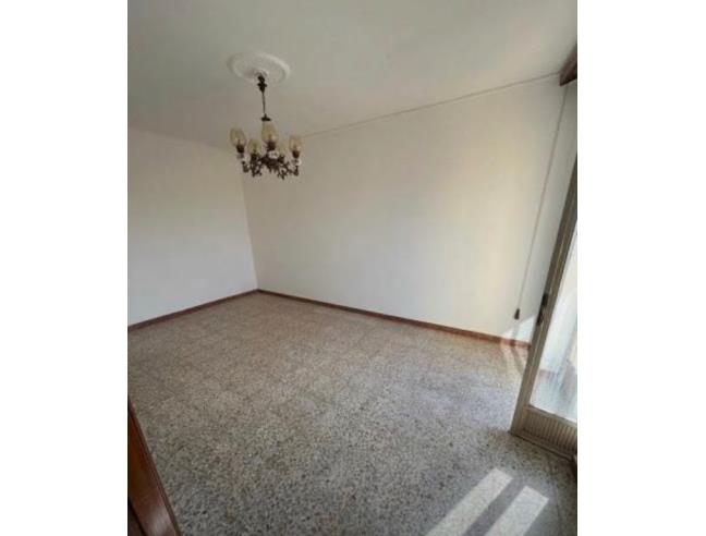 Anteprima foto 2 - Altro in Vendita a Viggianello (Potenza)