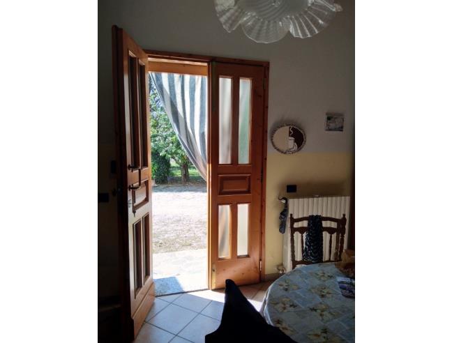 Anteprima foto 2 - Altro in Vendita a Vinci - Spicchio-Sovigliana