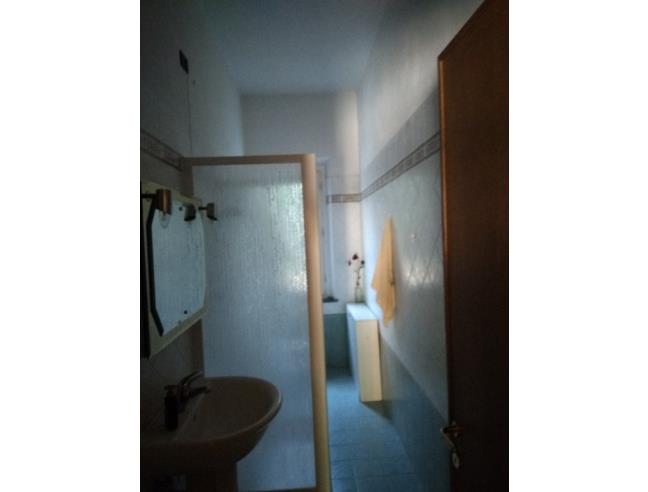 Anteprima foto 4 - Altro in Vendita a Vinci - Spicchio-Sovigliana