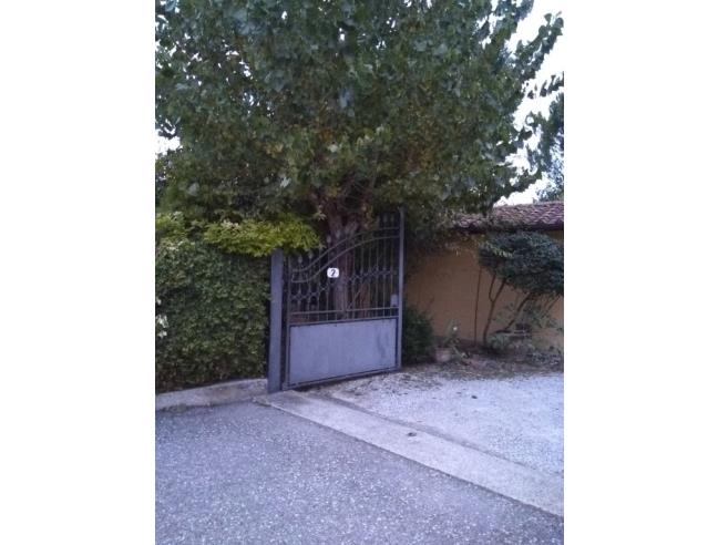 Anteprima foto 7 - Altro in Vendita a Vinci - Spicchio-Sovigliana