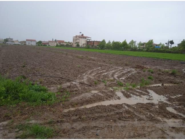 Anteprima foto 2 - Altro nuova costruzione a Roma - Appio Claudio