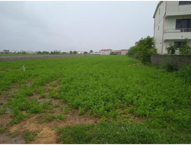 Anteprima foto 3 - Altro nuova costruzione a Roma - Appio Claudio