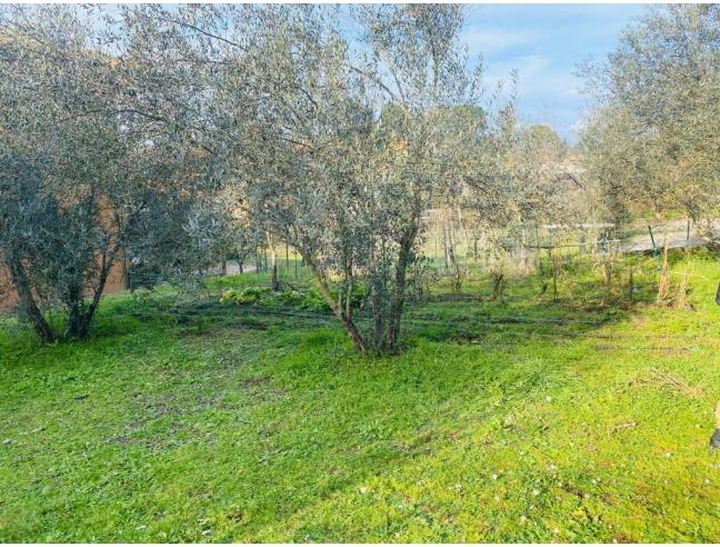 Anteprima foto 4 - Appartamento in Affitto a Acquapendente (Viterbo)