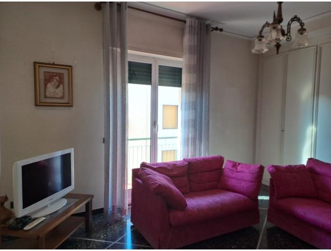 Anteprima foto 7 - Appartamento in Affitto a Albisola Superiore (Savona)