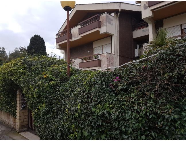 Anteprima foto 4 - Appartamento in Affitto a Anzio (Roma)