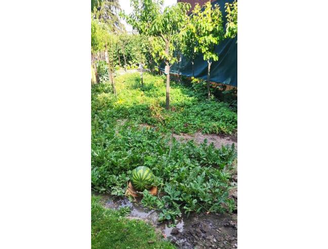 Anteprima foto 6 - Appartamento in Affitto a Aosta (Aosta)