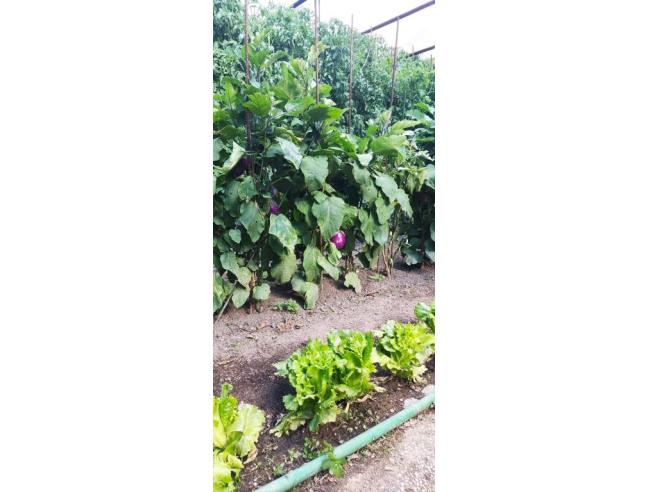 Anteprima foto 8 - Appartamento in Affitto a Aosta (Aosta)