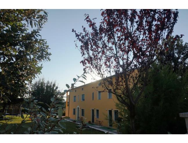 Anteprima foto 7 - Appartamento in Affitto a Appignano (Macerata)