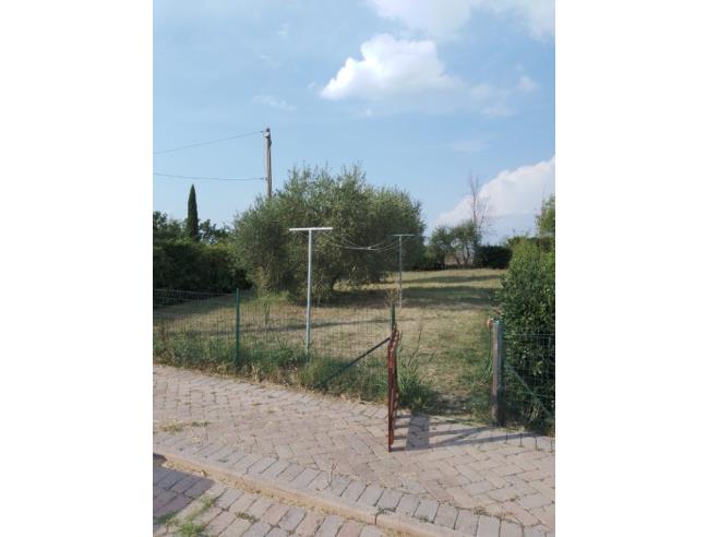 Anteprima foto 6 - Appartamento in Affitto a Asciano (Siena)