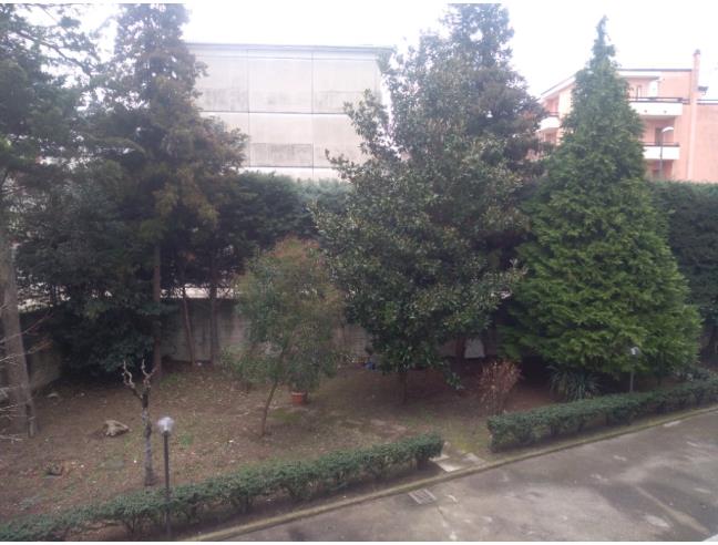 Anteprima foto 1 - Appartamento in Affitto a Avellino - Centro città