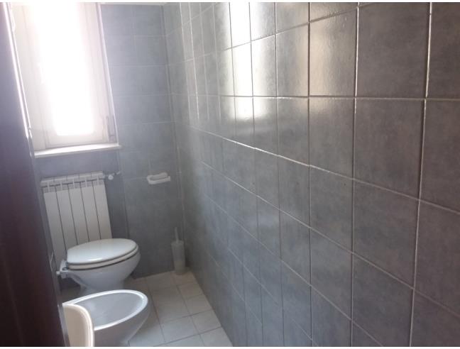 Anteprima foto 8 - Appartamento in Affitto a Avezzano (L'Aquila)