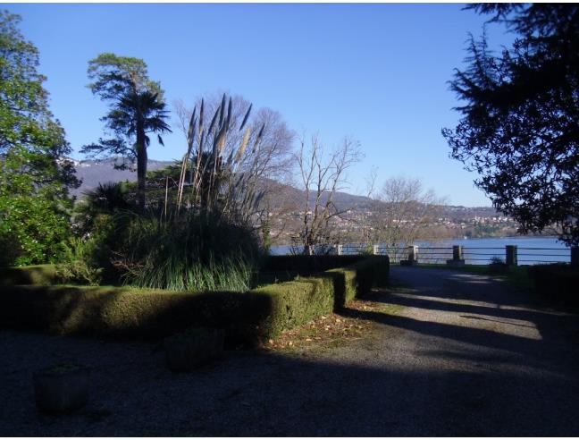 Anteprima foto 7 - Appartamento in Affitto a Biandronno (Varese)