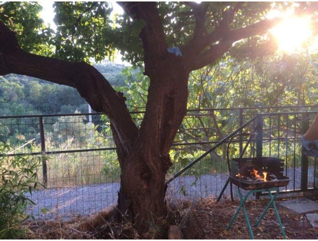 Anteprima foto 2 - Appartamento in Affitto a Boissano (Savona)