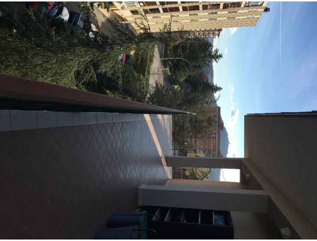 Anteprima foto 8 - Appartamento in Affitto a Campobasso (Campobasso)