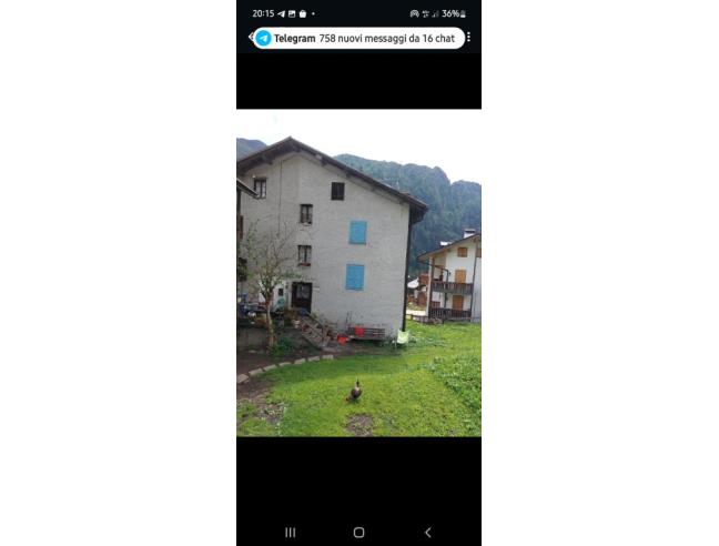 Anteprima foto 6 - Appartamento in Affitto a Canale d'Agordo - Gares