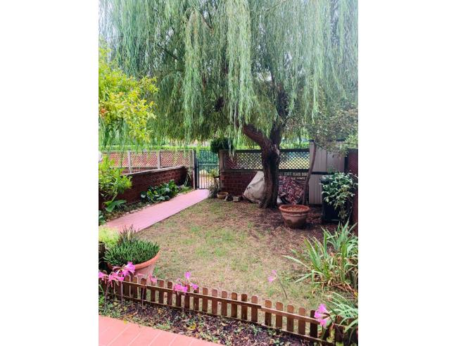 Anteprima foto 2 - Appartamento in Affitto a Carrara - Marina Di Carrara