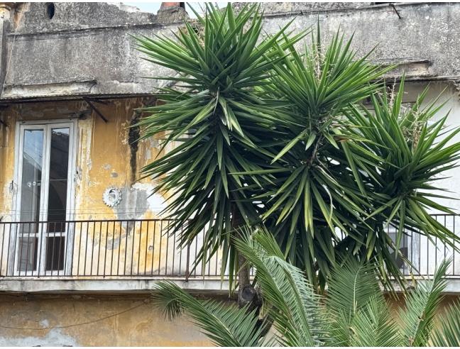Anteprima foto 2 - Appartamento in Affitto a Casandrino (Napoli)