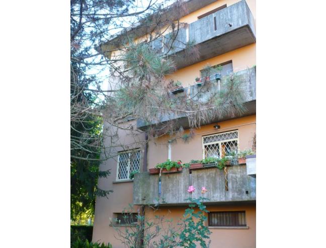 Anteprima foto 4 - Appartamento in Affitto a Castello d'Argile (Bologna)
