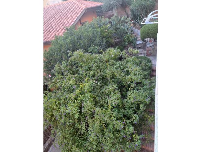 Anteprima foto 8 - Appartamento in Affitto a Castiglione della Pescaia (Grosseto)