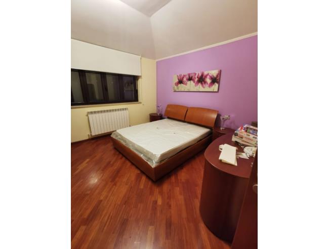 Anteprima foto 5 - Appartamento in Affitto a Catanzaro (Catanzaro)