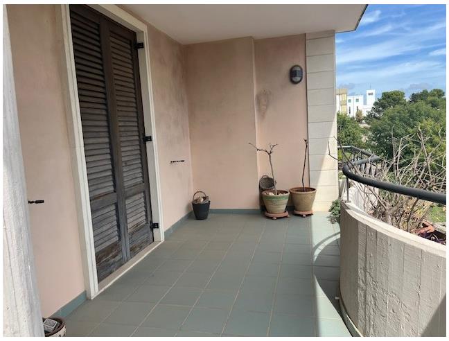 Anteprima foto 8 - Appartamento in Affitto a Ceglie Messapica (Brindisi)