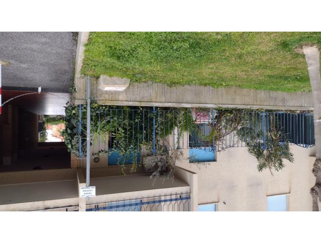 Anteprima foto 3 - Appartamento in Affitto a Ceriale (Savona)
