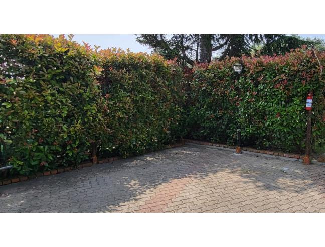 Anteprima foto 7 - Appartamento in Affitto a Ceriale (Savona)