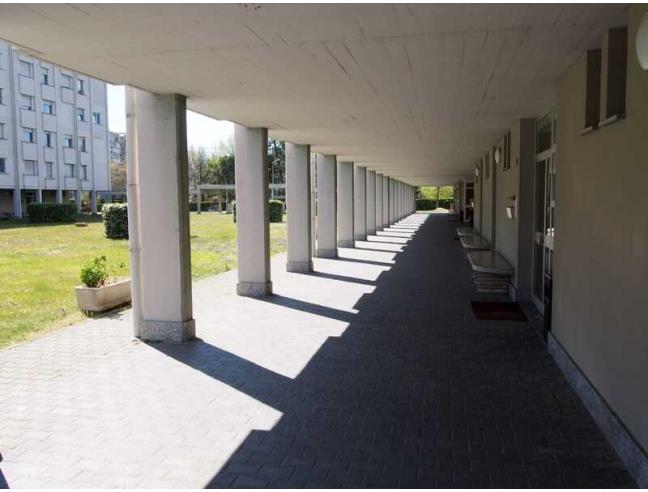 Anteprima foto 1 - Appartamento in Affitto a Collegno (Torino)