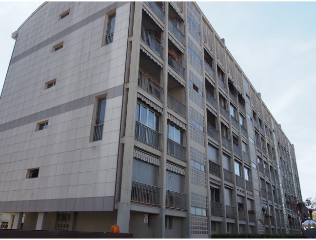 Anteprima foto 8 - Appartamento in Affitto a Collegno (Torino)