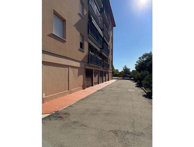 Anteprima foto 7 - Appartamento in Affitto a Concordia sulla Secchia (Modena)