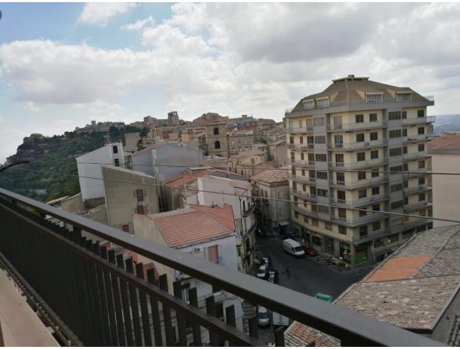 Anteprima foto 6 - Appartamento in Affitto a Enna (Enna)