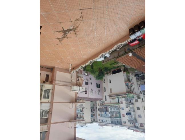 Anteprima foto 2 - Appartamento in Affitto a Ercolano (Napoli)