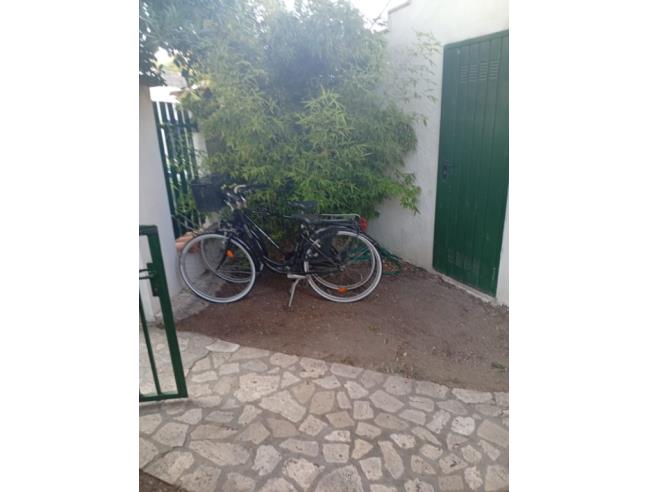 Anteprima foto 3 - Appartamento in Affitto a Fiumicino - Stazione Di Maccarese-Fregene