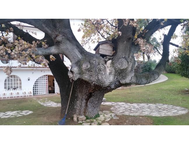 Anteprima foto 6 - Appartamento in Affitto a Fonte Nuova (Roma)