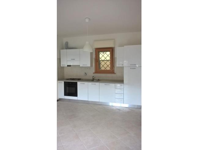 Anteprima foto 2 - Appartamento in Affitto a Frascati (Roma)