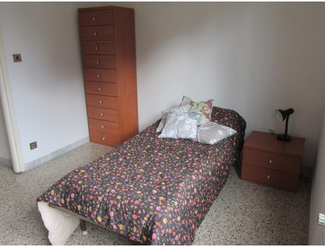 Anteprima foto 5 - Appartamento in Affitto a Frascati (Roma)