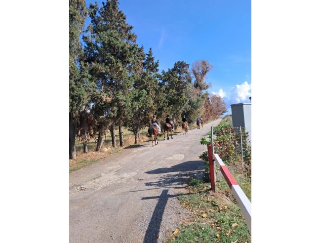 Anteprima foto 7 - Appartamento in Affitto a Giardini-Naxos (Messina)