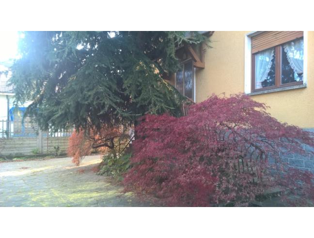 Anteprima foto 1 - Appartamento in Affitto a Gorla Maggiore (Varese)