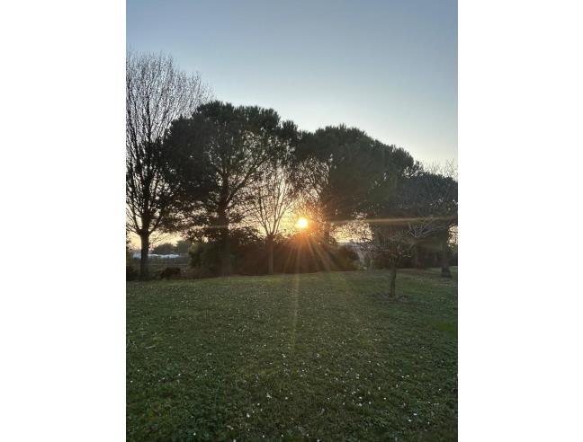 Anteprima foto 4 - Appartamento in Affitto a Grado - Grado Pineta