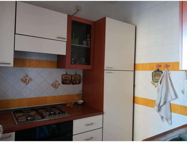 Anteprima foto 4 - Appartamento in Affitto a La Maddalena (Sassari)