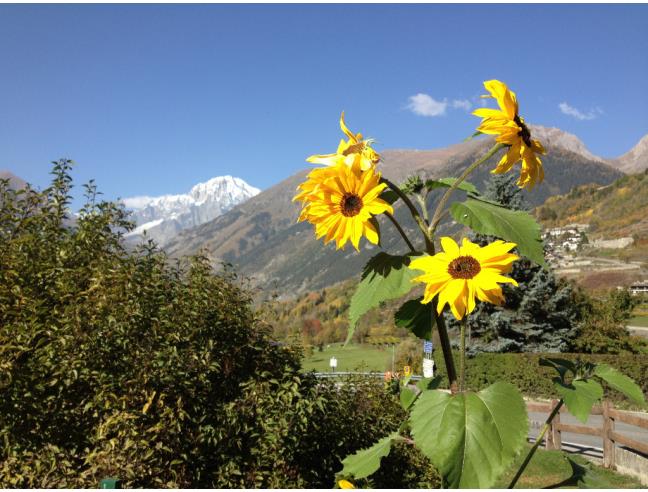 Anteprima foto 2 - Appartamento in Affitto a La Salle (Aosta)