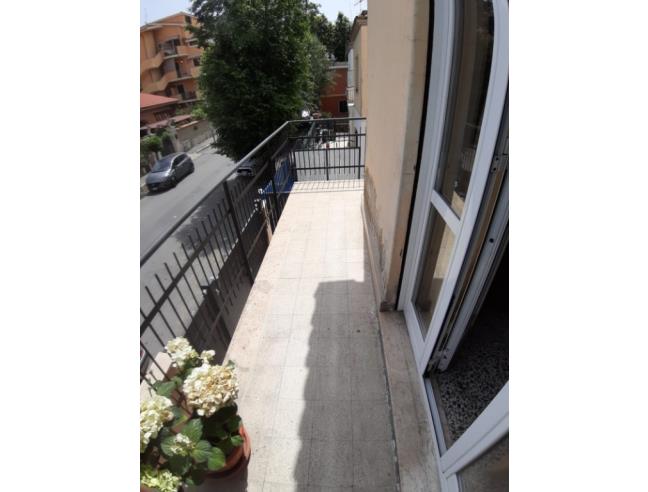 Anteprima foto 3 - Appartamento in Affitto a Ladispoli (Roma)