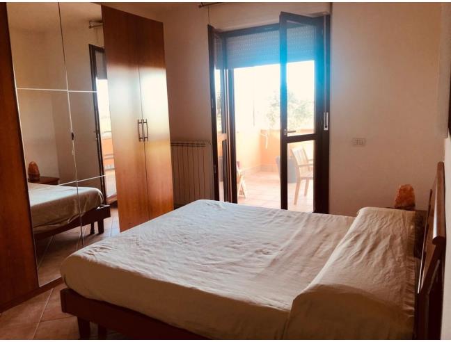 Anteprima foto 5 - Appartamento in Affitto a Latina - Latina Scalo