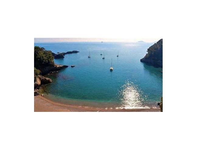 Anteprima foto 7 - Appartamento in Affitto a Lerici (La Spezia)