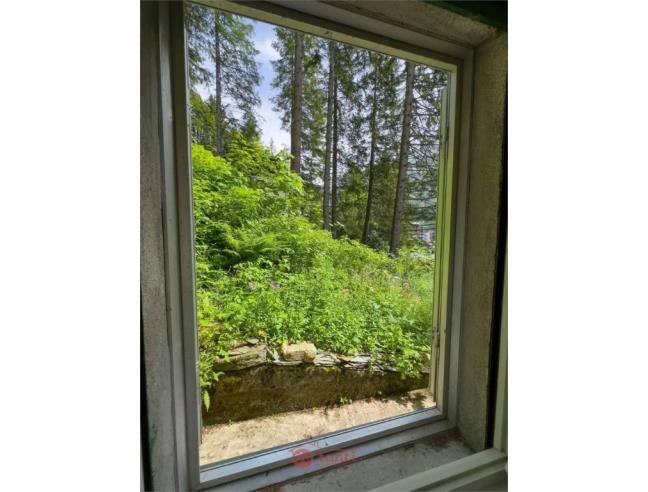 Anteprima foto 6 - Appartamento in Affitto a Madesimo (Sondrio)