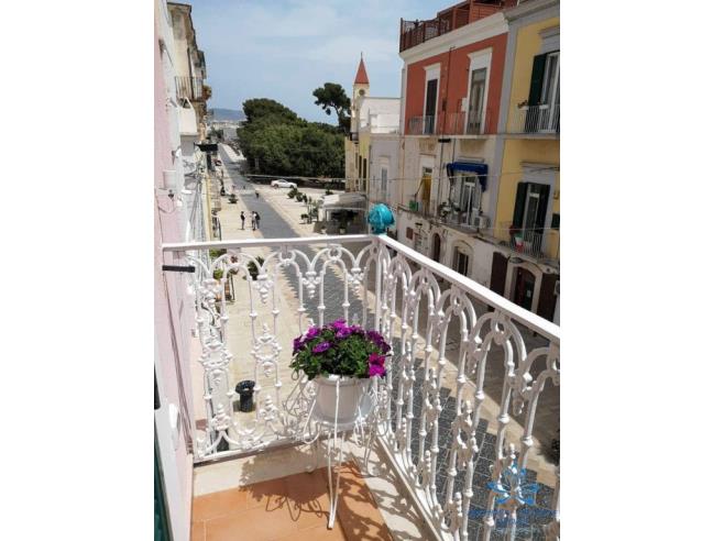 Anteprima foto 3 - Appartamento in Affitto a Manfredonia (Foggia)