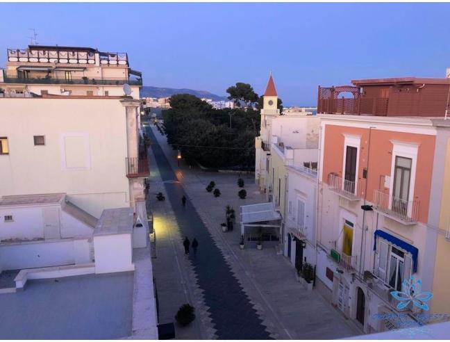 Anteprima foto 7 - Appartamento in Affitto a Manfredonia (Foggia)