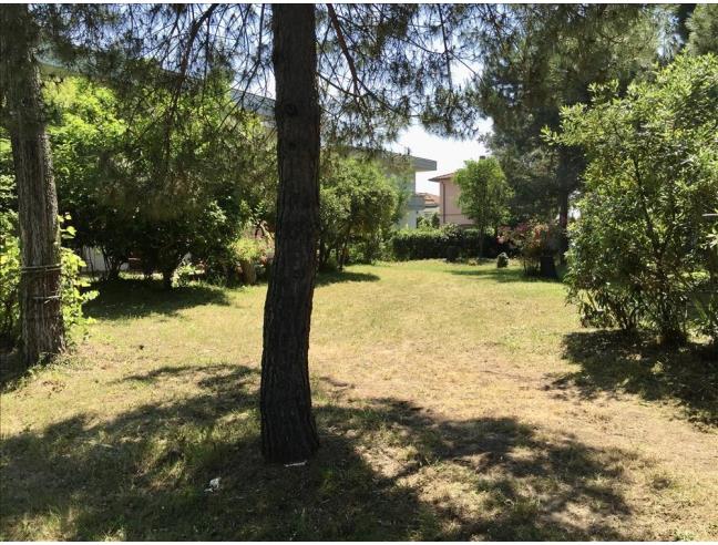 Anteprima foto 8 - Appartamento in Affitto a Massa - Marina Di Massa