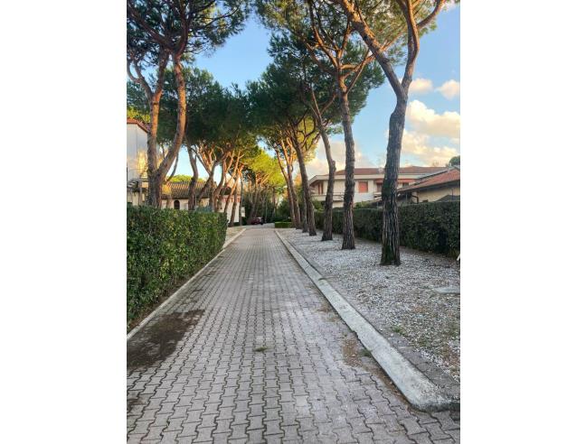 Anteprima foto 2 - Appartamento in Affitto a Massa (Massa-Carrara)